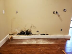 signs of hidden water damage