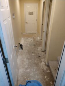 portland water damage inspection tips