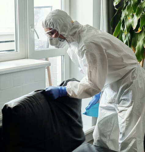 Read more about the article Frequently Asked Questions About Mold Remediation