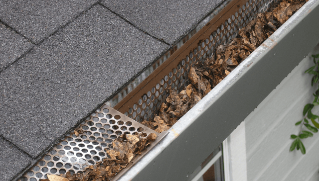 Read more about the article Damage Caused by Blocked Gutters