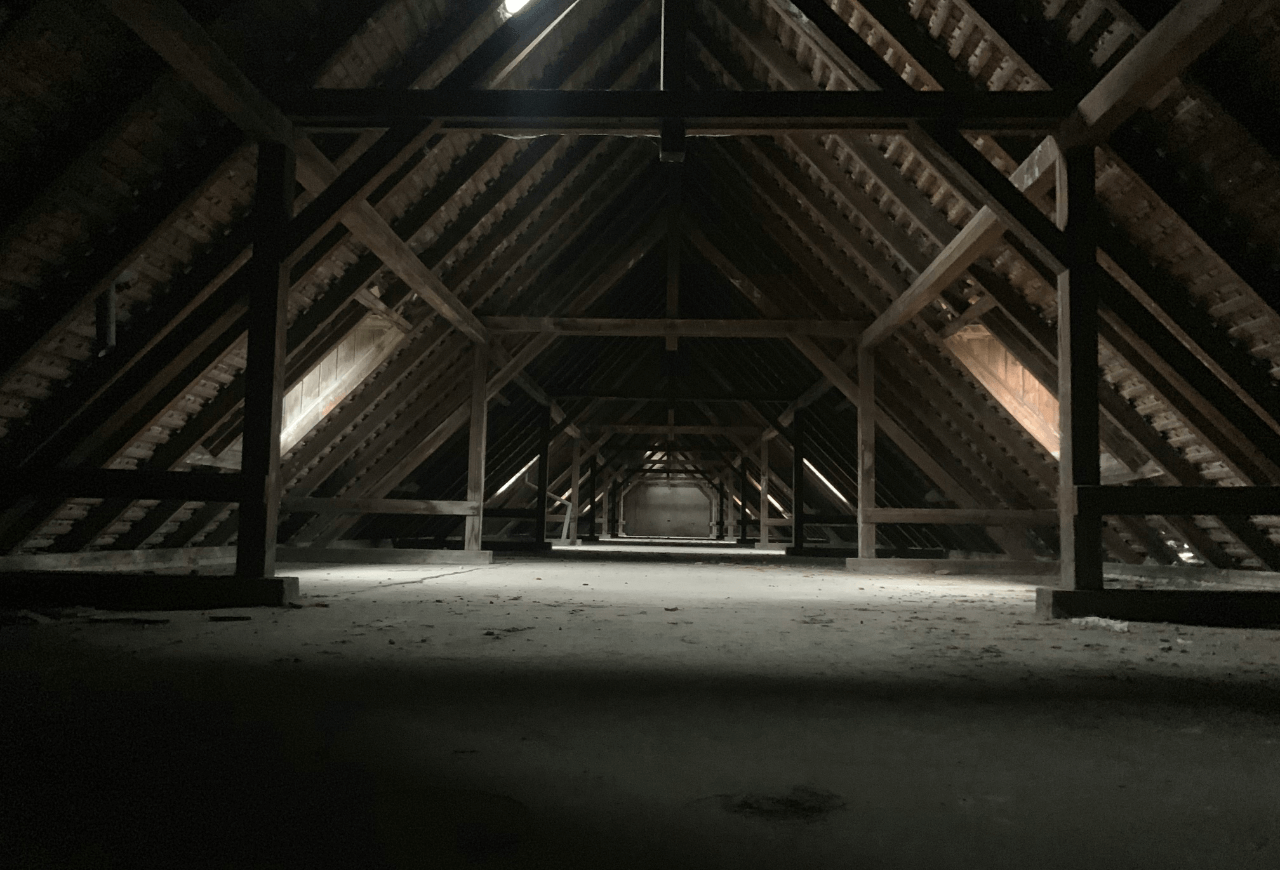 Read more about the article Attic Mold Removal and Remediation