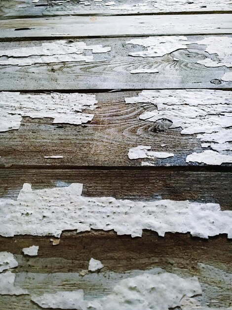 Read more about the article How to Repair Water-Damaged Wood